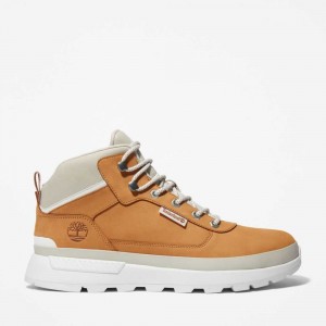 Timberland Field Trekker Maro | SN-TBL45853