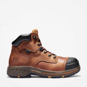 Timberland Helix Hd 6 Rosii Maro | SN-TBL45645