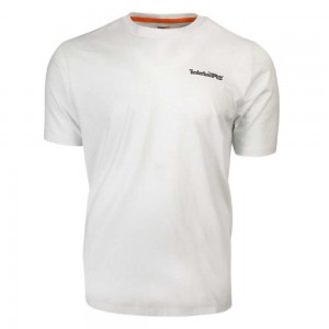 Timberland Timberland Pro® Albi | SN-TBL45982