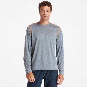 Timberland Timberland Pro® Gri | SN-TBL45987